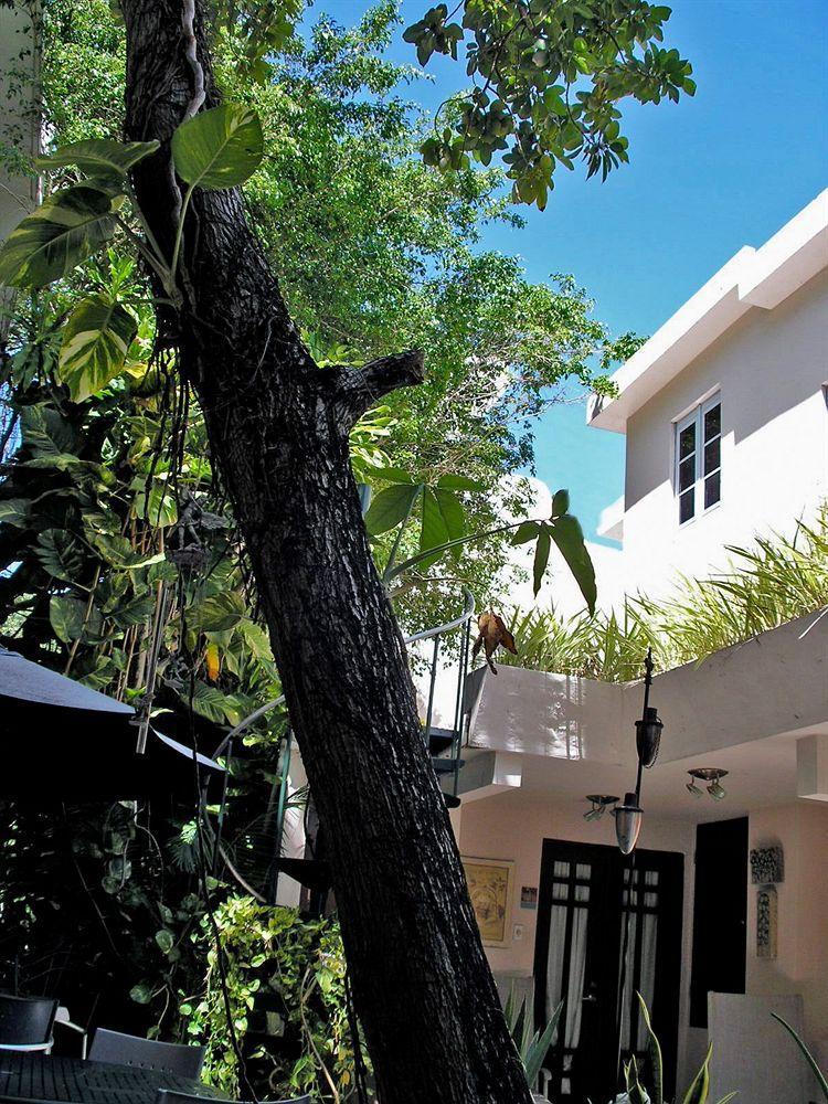 Oceana Hostal Playero San Juan Kültér fotó